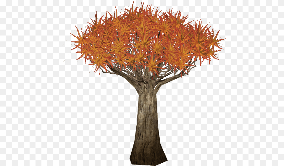 Treequiver Slice Floral Design, Leaf, Maple, Plant, Tree Png Image