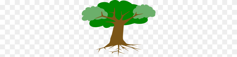Treerootnew Clip Art, Plant, Tree, Root, Person Png Image