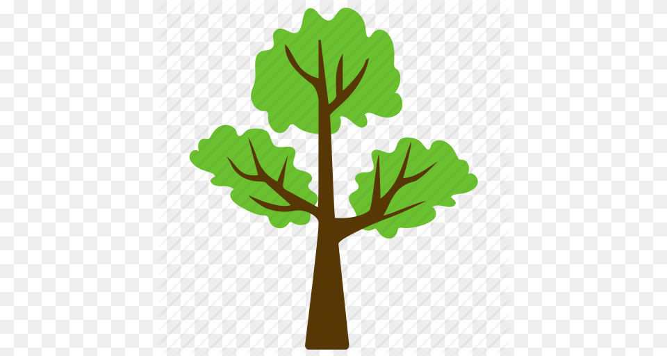 Trees, Plant, Tree, Leaf, Cross Png