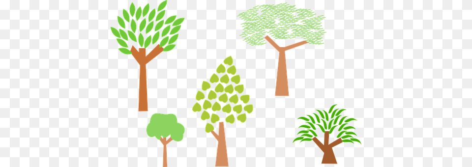 Trees Vegetation, Tree, Green, Plant Free Transparent Png