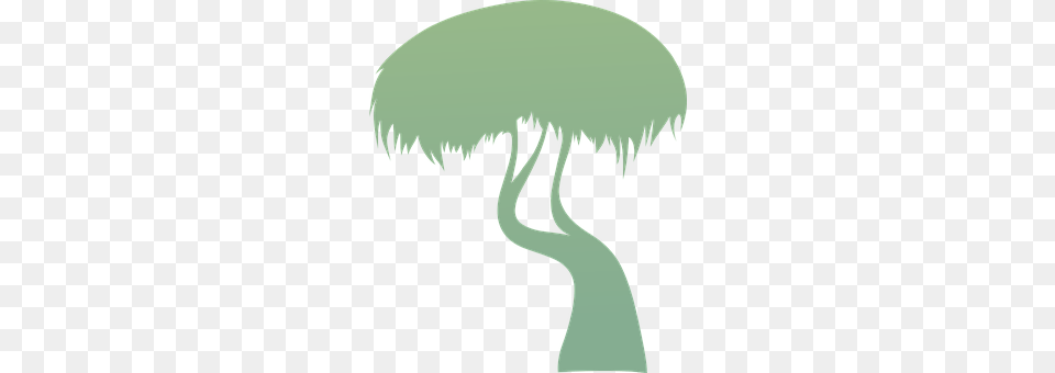 Trees Plant, Tree, Art, Outdoors Free Png