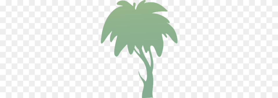 Trees Silhouette, Person Free Png