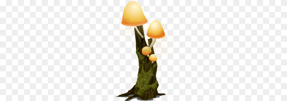 Trees Agaric, Fungus, Mushroom, Plant Png