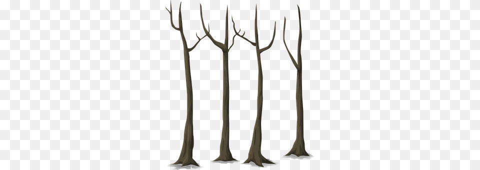 Trees Bow, Weapon, Plant, Tree Free Transparent Png
