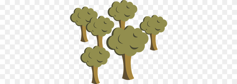 Trees Person, Produce, Food, Fruit Png