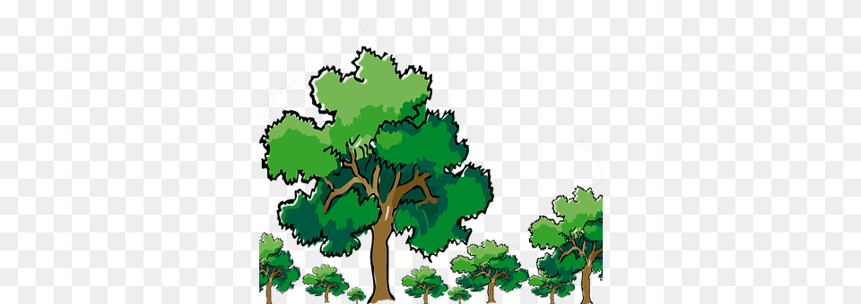 Trees Green, Vegetation, Tree, Plant Free Png