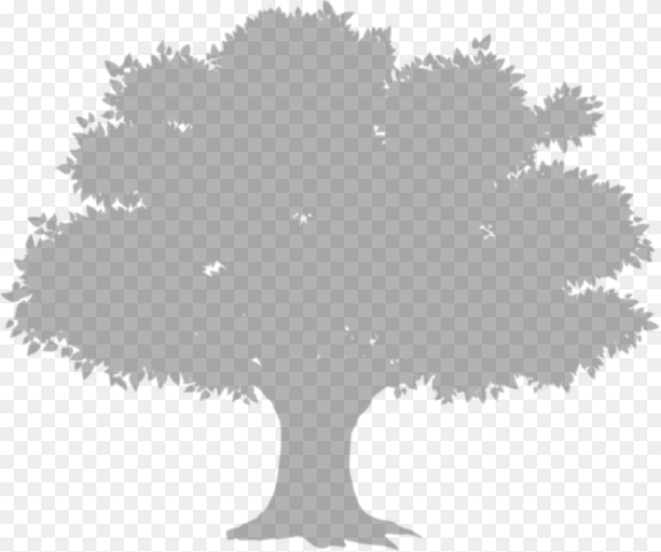 Trees Album Transprent Tree Shadow, Plant, Silhouette, Art, Pattern Free Png