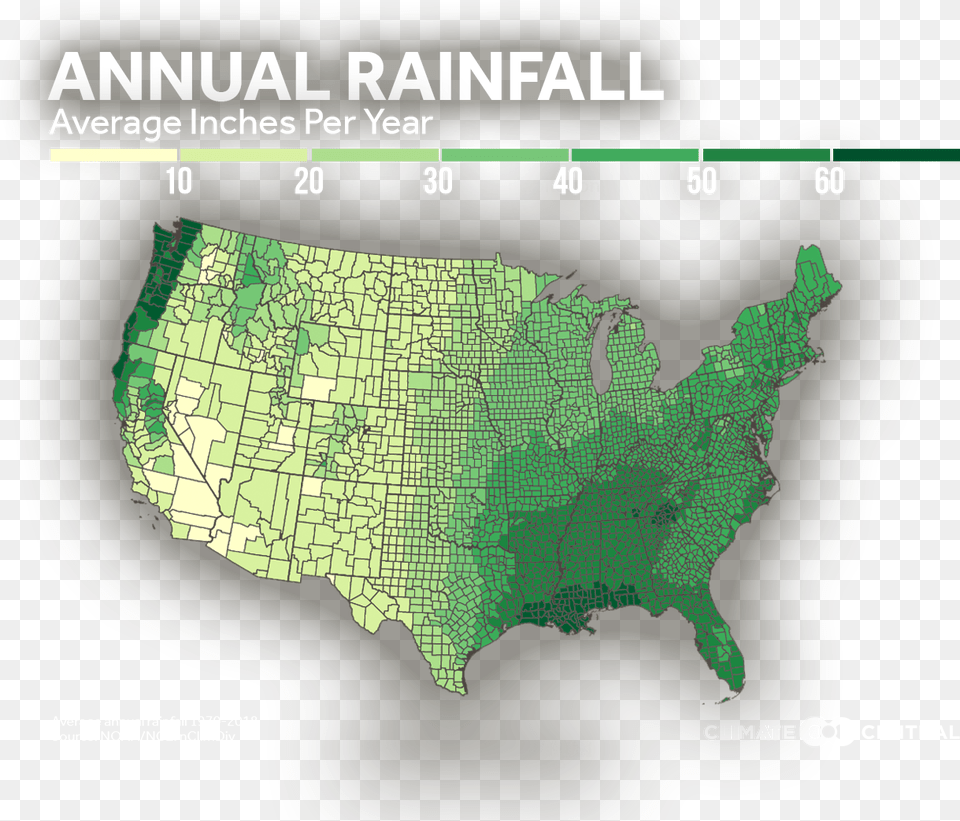 Trees And Annual Rainfall Climate Central Atlas, Chart, Map, Plot, Diagram Png