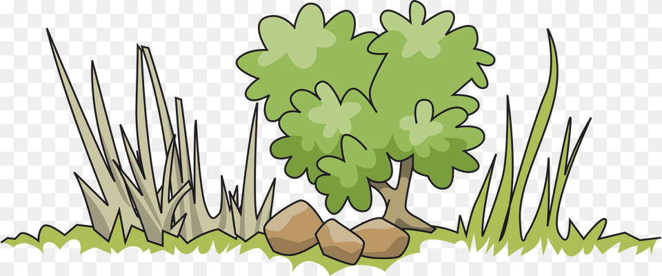 Trees And Bushes Clipart, Grass, Plant, Vegetation, Green Png