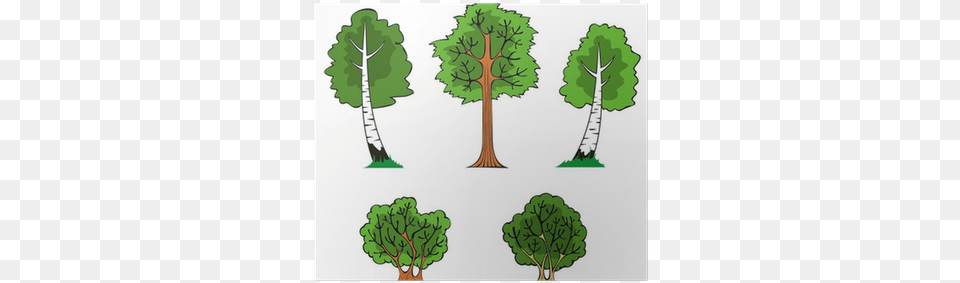 Trees And Bushes In The Forest Vector Illustration Derevya Multyashnie, Plant, Vegetation, Tree, Oak Free Transparent Png