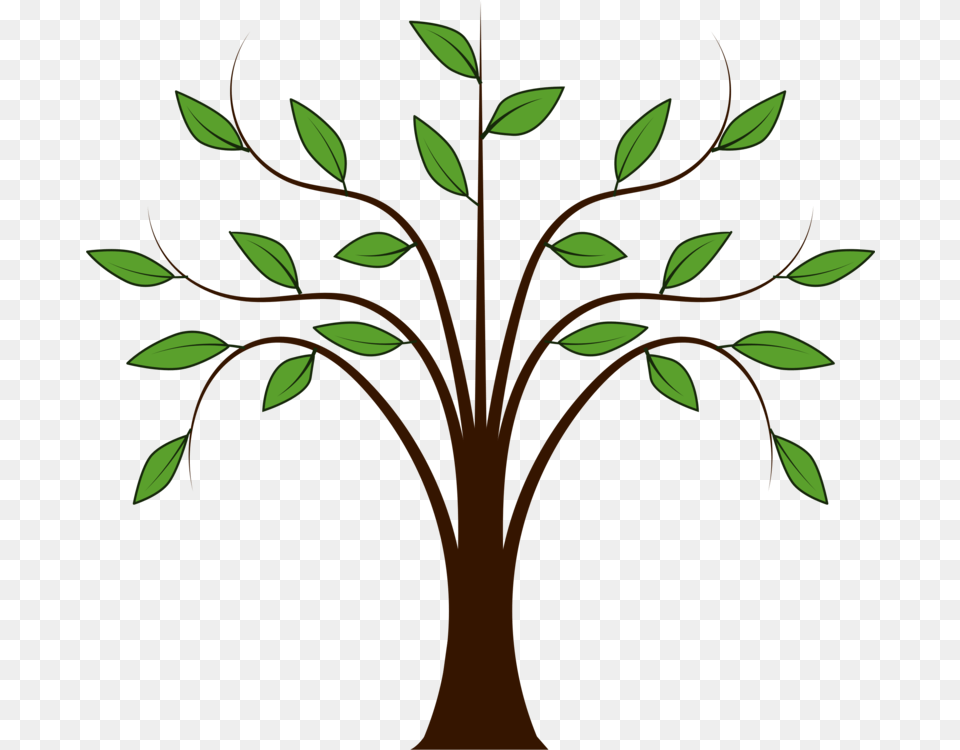 Trees And Leaves Branch Drawing, Art, Floral Design, Graphics, Pattern Png Image