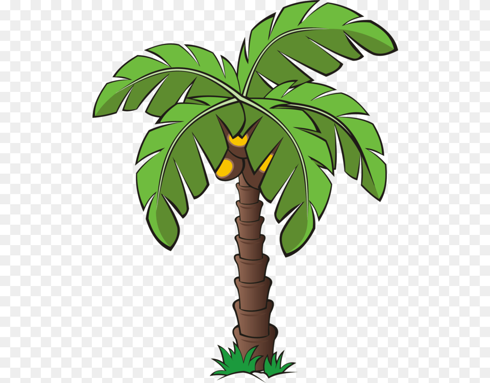 Trees And Plants Clipart, Palm Tree, Plant, Tree, Vegetation Png Image