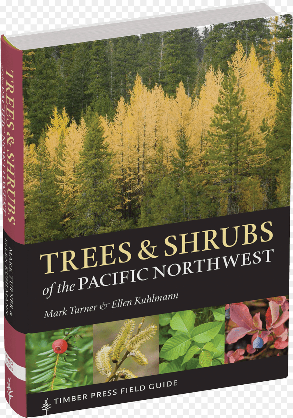 Trees And Shrubs Of The Pacific Northwest Trees And Shrubs Of The Pacific Northwest, Conifer, Larch, Plant, Tree Free Transparent Png