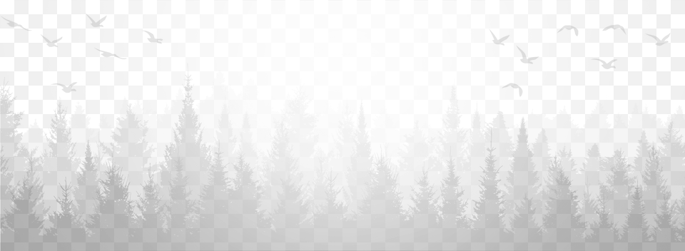 Trees Background Monochrome, Fog, Mist, Nature, Outdoors Free Png