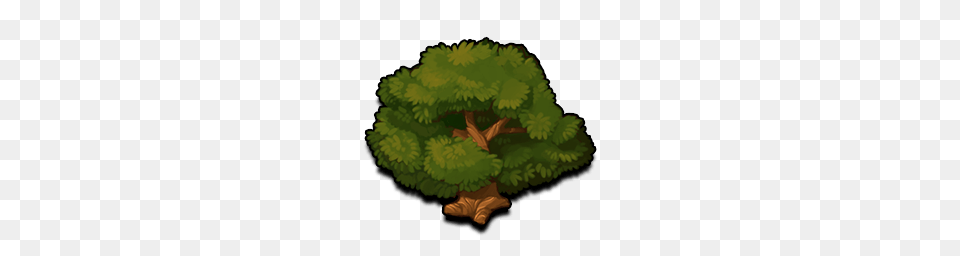 Trees Battle Nations Wiki Fandom Powered, Green, Moss, Vegetation, Plant Png