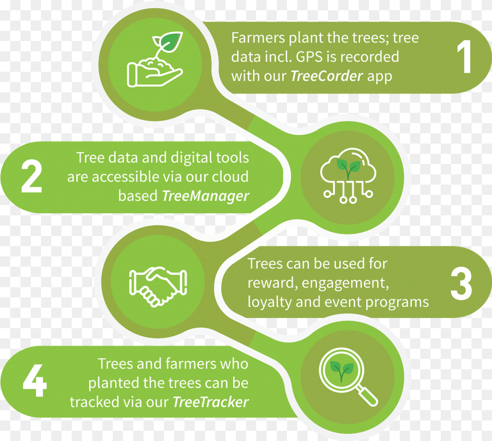 Trees Circle, Cutlery, Spoon, Chart, Plot Png