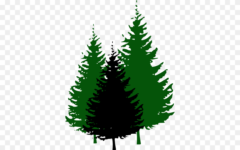 Trees Clip Art, Fir, Pine, Plant, Tree Free Png