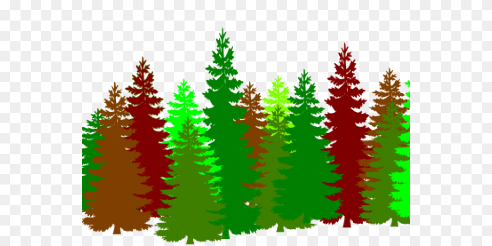 Trees Clipart, Pine, Conifer, Fir, Tree Free Transparent Png