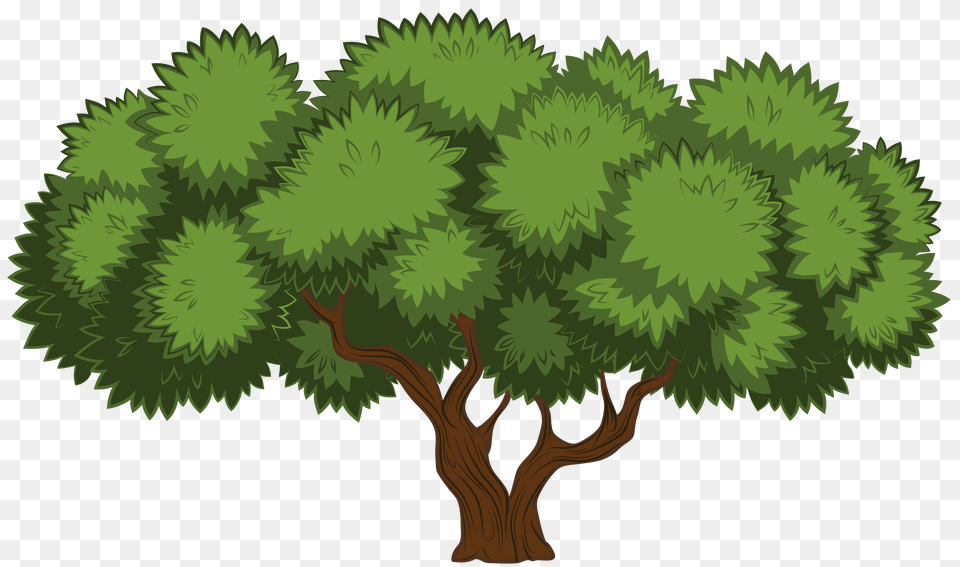 Trees Clipart, Conifer, Woodland, Vegetation, Tree Png