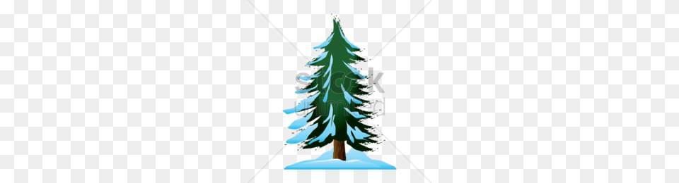 Trees Clipart, Fir, Pine, Plant, Tree Free Png