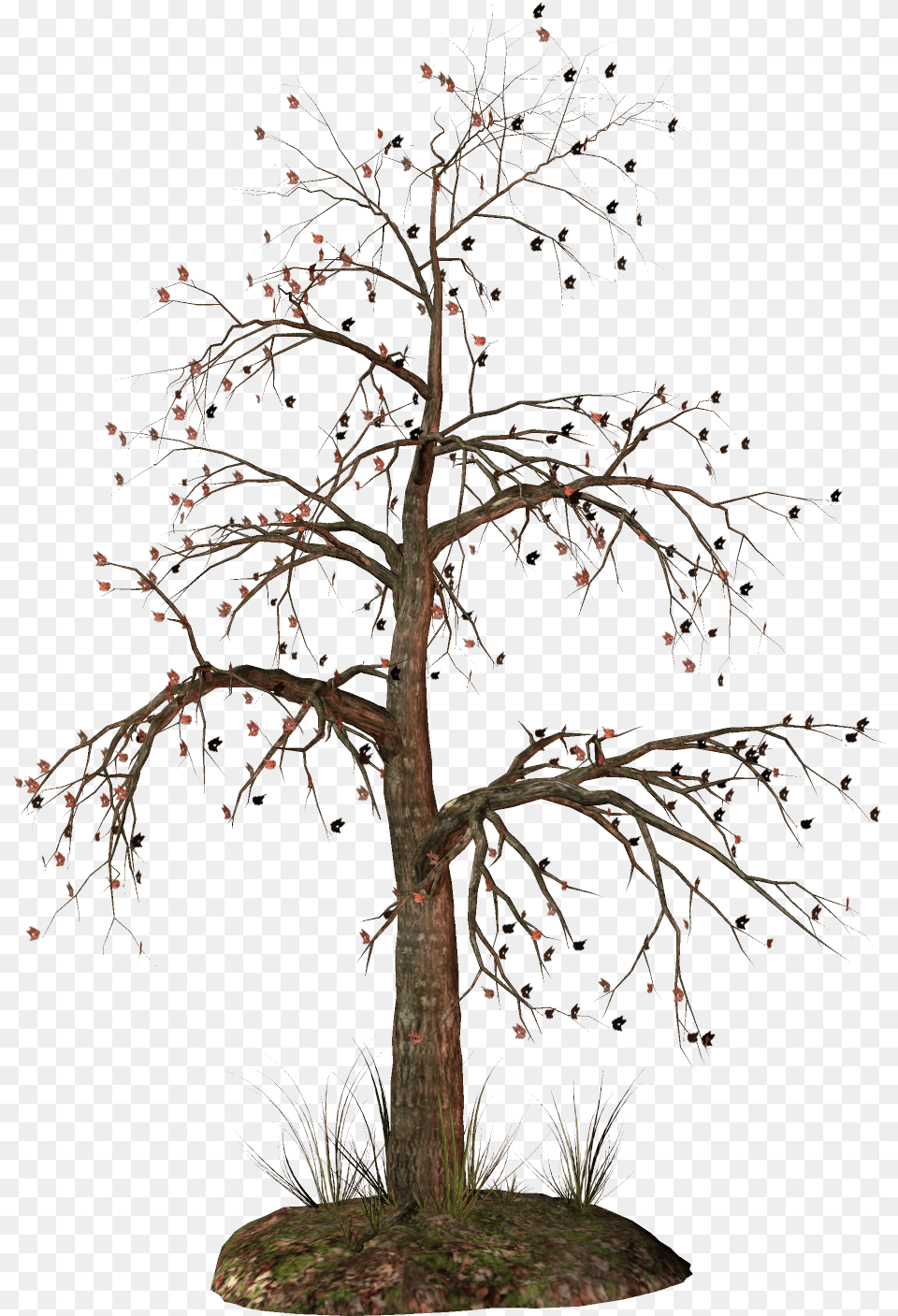 Trees Clipart Dead Background Dead Tree Dead Tree, Plant, Potted Plant, Tree Trunk, Flower Png