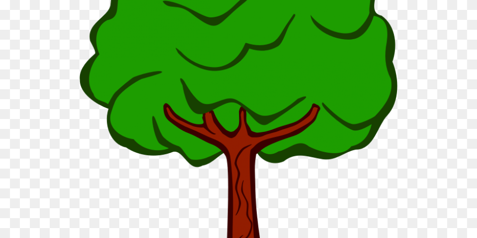 Trees Clipart School Tree Drawing With Color, Green, Person Free Png Download