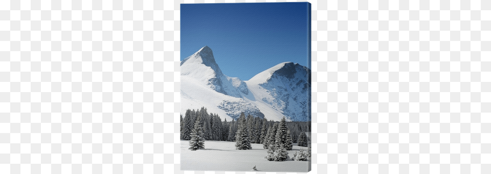 Trees Coated With Snow And High Snowy Mountains Canvas Find His Way Home Book, Tree, Fir, Plant, Peak Free Png Download