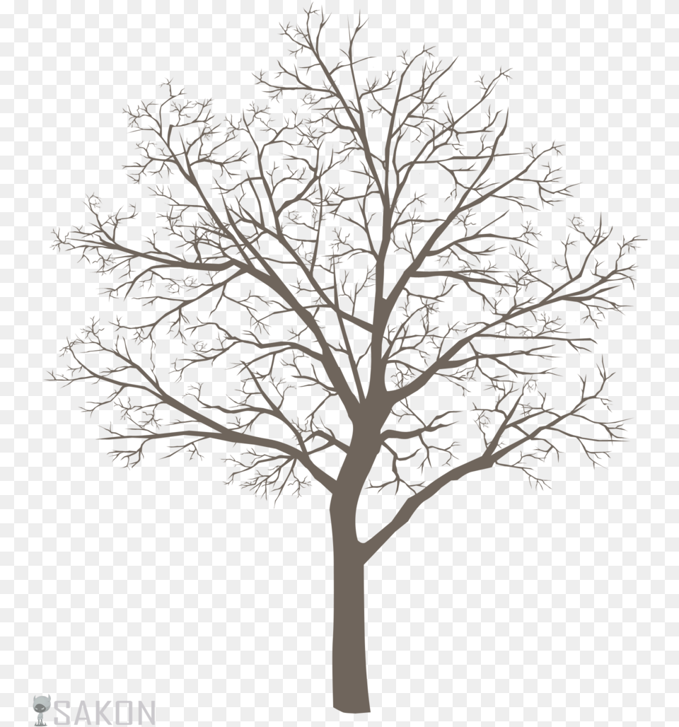 Trees Drawing Portable Network Graphics, Plant, Tree, Art, Tree Trunk Png