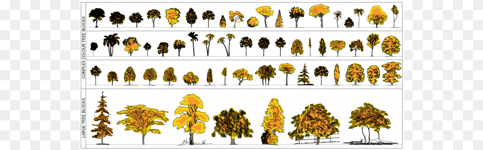 Trees Elevation Autumnal Plan And Elevation Of Trees, Plant, Tree, Vegetation, Herbal Free Transparent Png