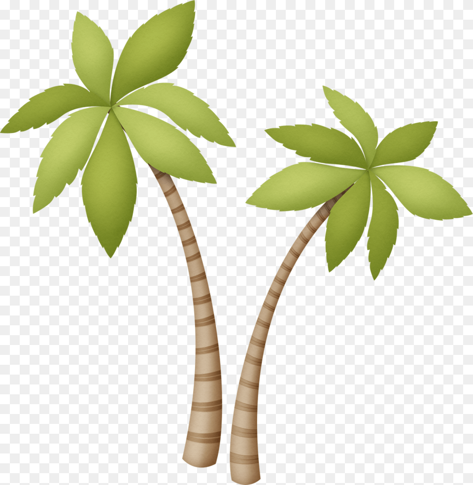 Trees Explore Beach, Leaf, Plant, Tree, Green Free Transparent Png