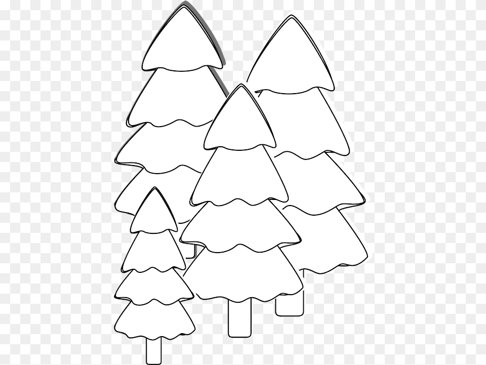 Trees Fir White Vector Graphic On Pixabay Gambar Pohon Cemara Hitam Putih, Adult, Bride, Female, Person Free Transparent Png