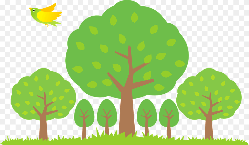 Trees Forest Bird Clipart, Vegetation, Plant, Green, Leaf Png Image