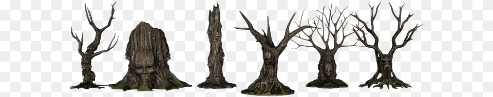 Trees Forest Creepy Fantasy Aesthetic Kahl Scary Fantasy Trees Transparent, Land, Nature, Outdoors, Tree Free Png