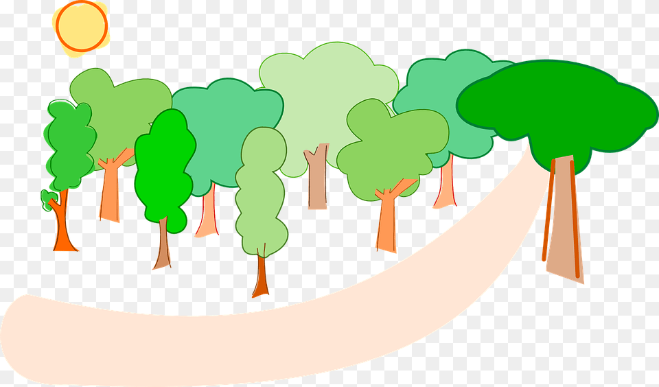 Trees Forest Nature Landscape Environment, Smoke Free Png