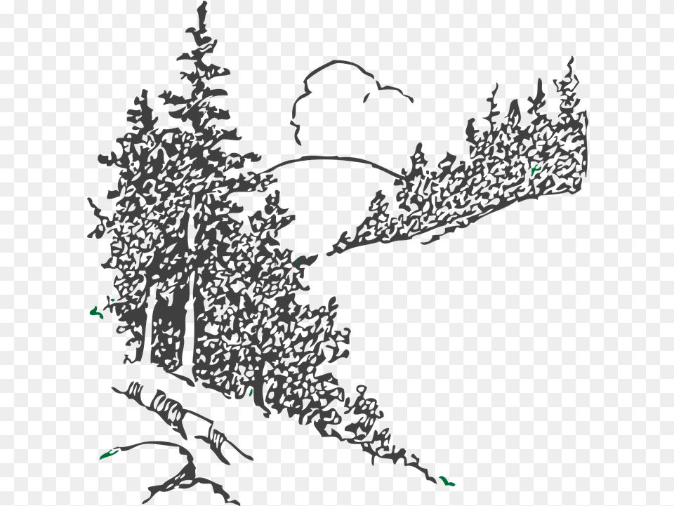Trees Forest Pines Country Vector Graphic On Pixabay Christmas Clip Art, Tree, Fir, Plant, Vegetation Free Transparent Png