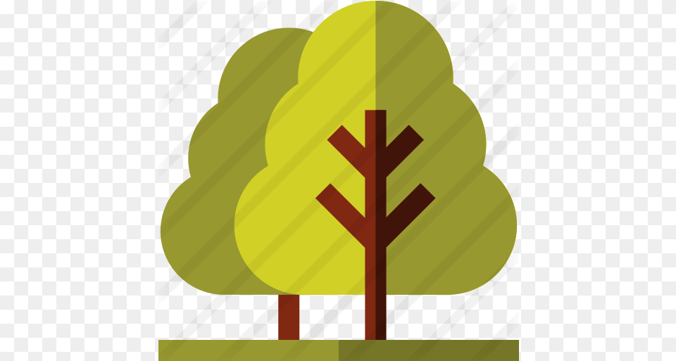 Trees Free Nature Icons Iconos De Arboles Gratis Png