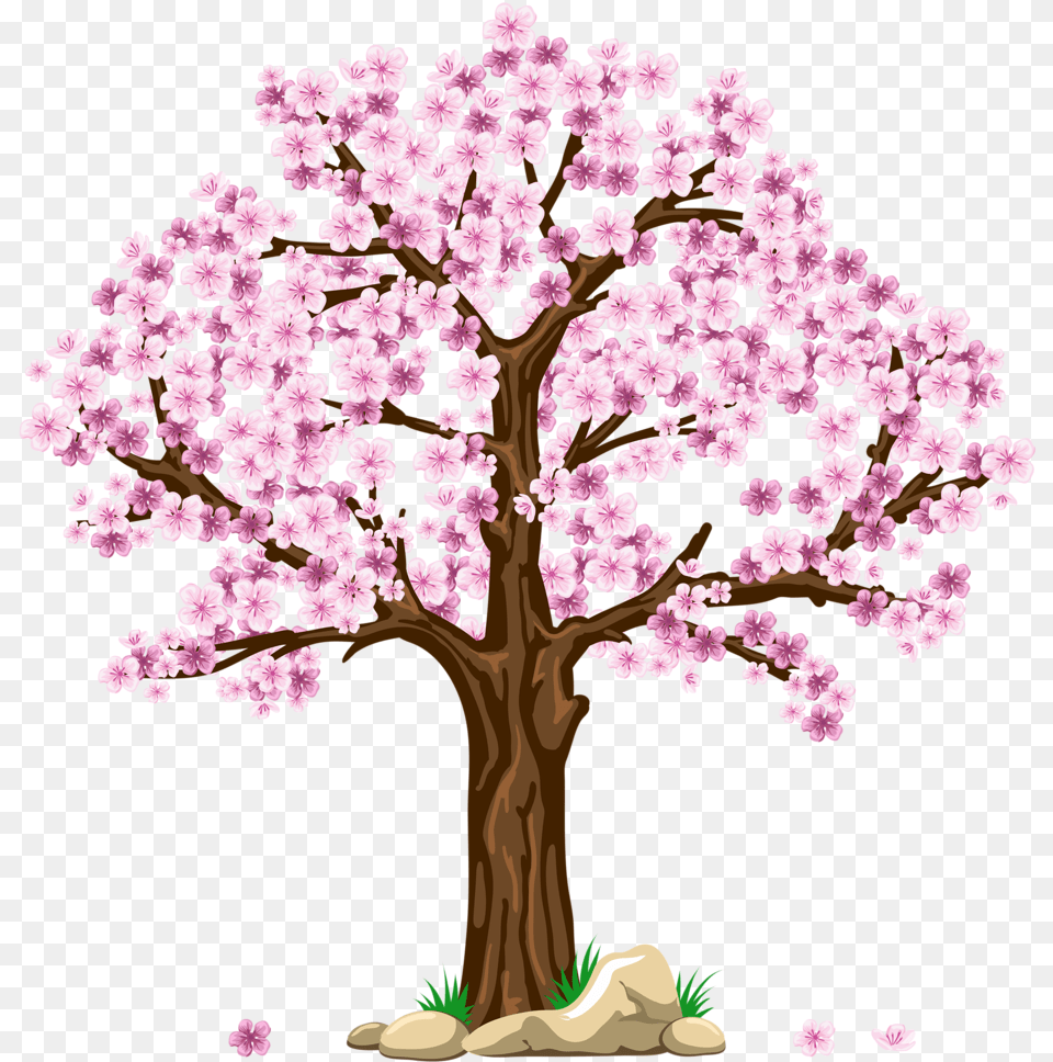 Trees In 4 Seasons, Flower, Plant, Cherry Blossom, Tree Png Image
