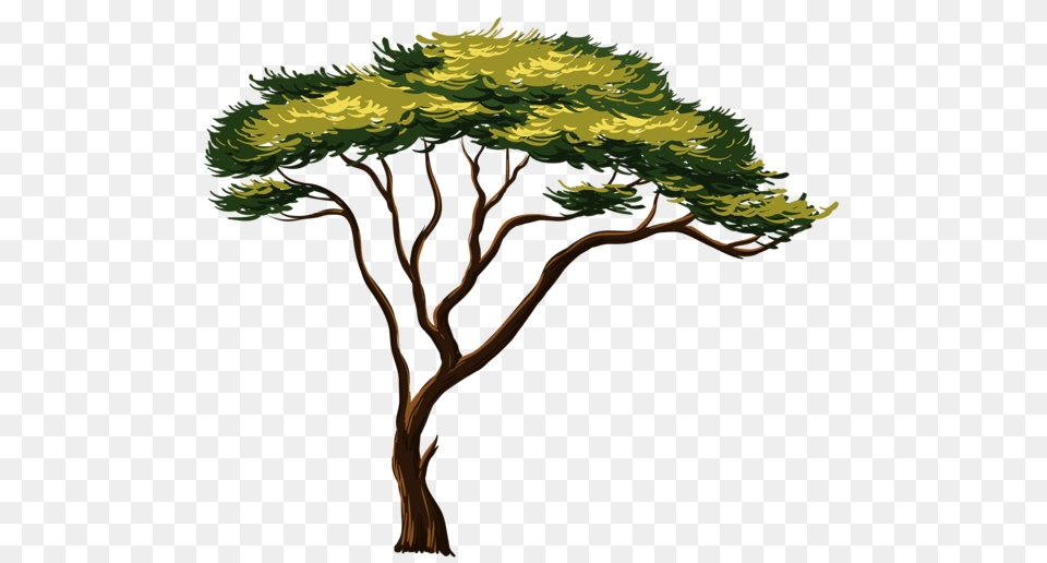 Trees In African Tree, Plant, Art, Vegetation, Animal Free Transparent Png