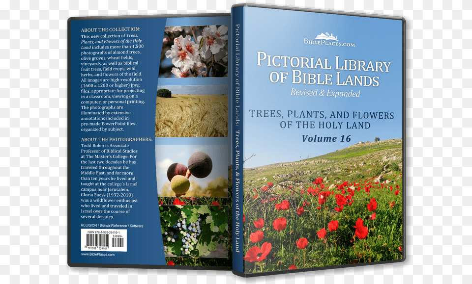 Trees In Israel Book, Advertisement, Flower, Plant, Poster Free Transparent Png