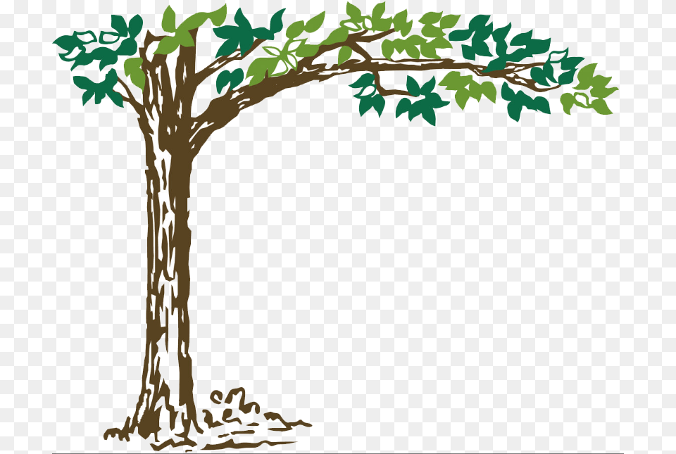 Trees In Plan, Art, Plant, Tree, Drawing Free Png Download