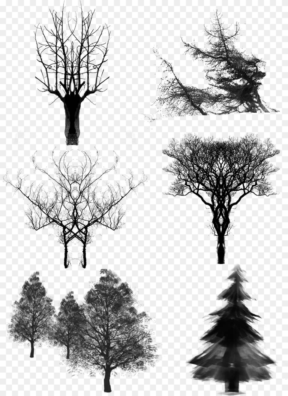 Trees Ink Dead Wood And Psd, Gray Png