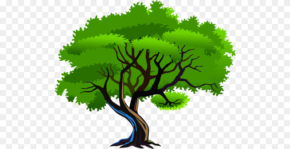 Trees Leaves Clip Art, Plant, Tree, Vegetation, Oak Png Image