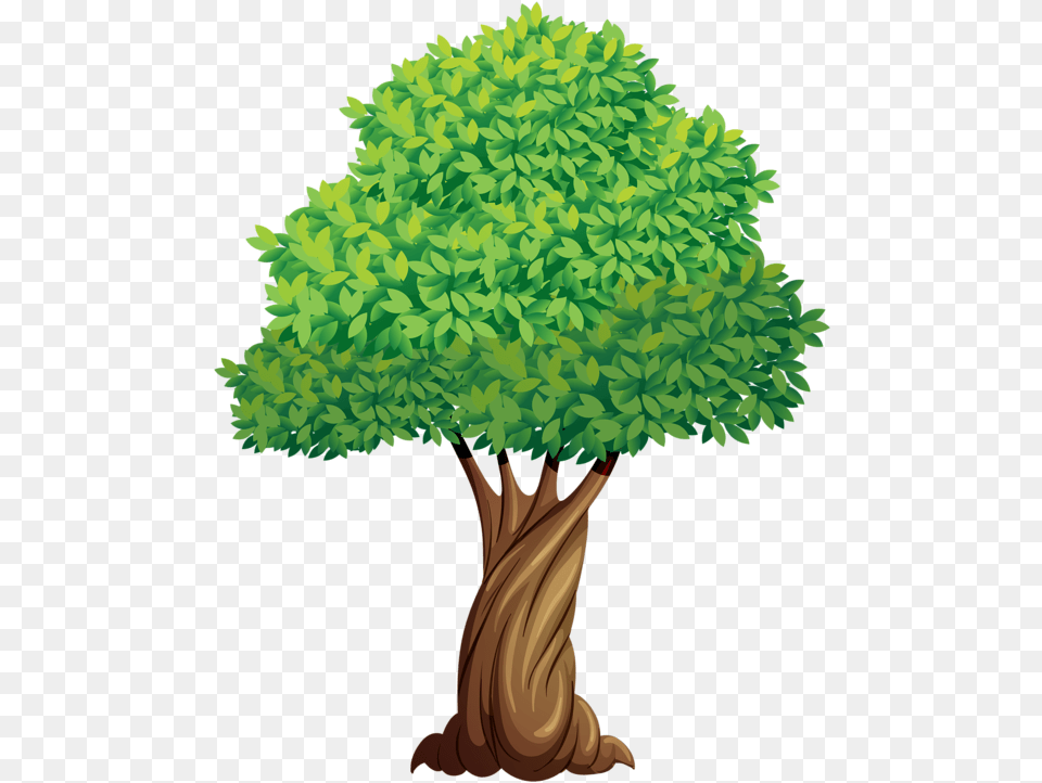 Trees Leaves Tree Cartoon, Plant, Potted Plant, Conifer, Vegetation Png