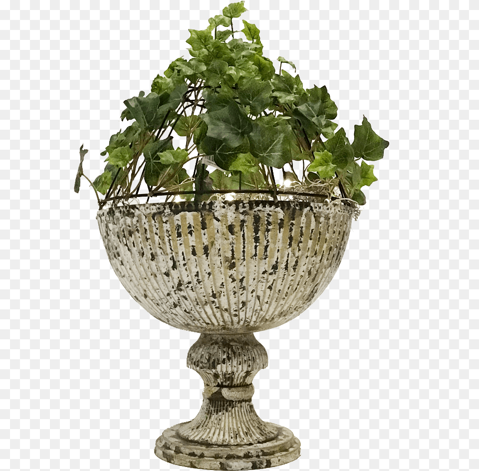 Trees N Trends Diy Planter Tree With Vase, Pottery, Potted Plant, Jar, Plant Png Image