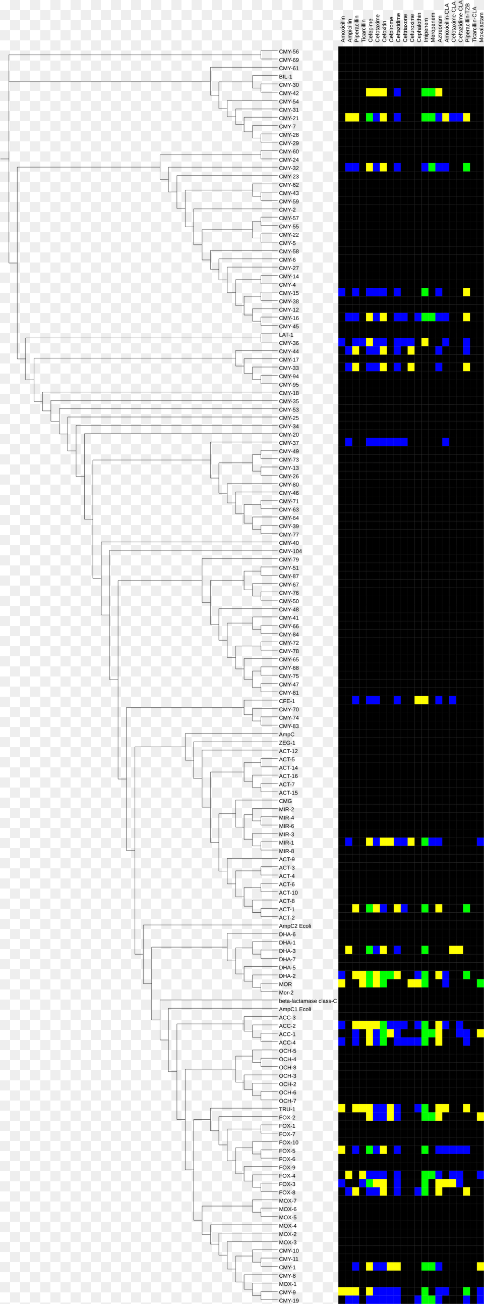 Trees Plan View Phylogenetic Tree Original Diagram Free Png Download