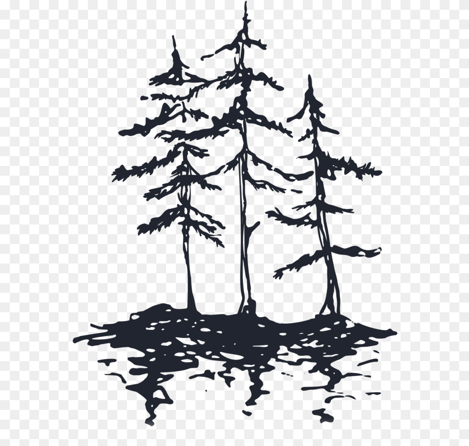 Trees Sail, Plant, Tree, Fir, Outdoors Png