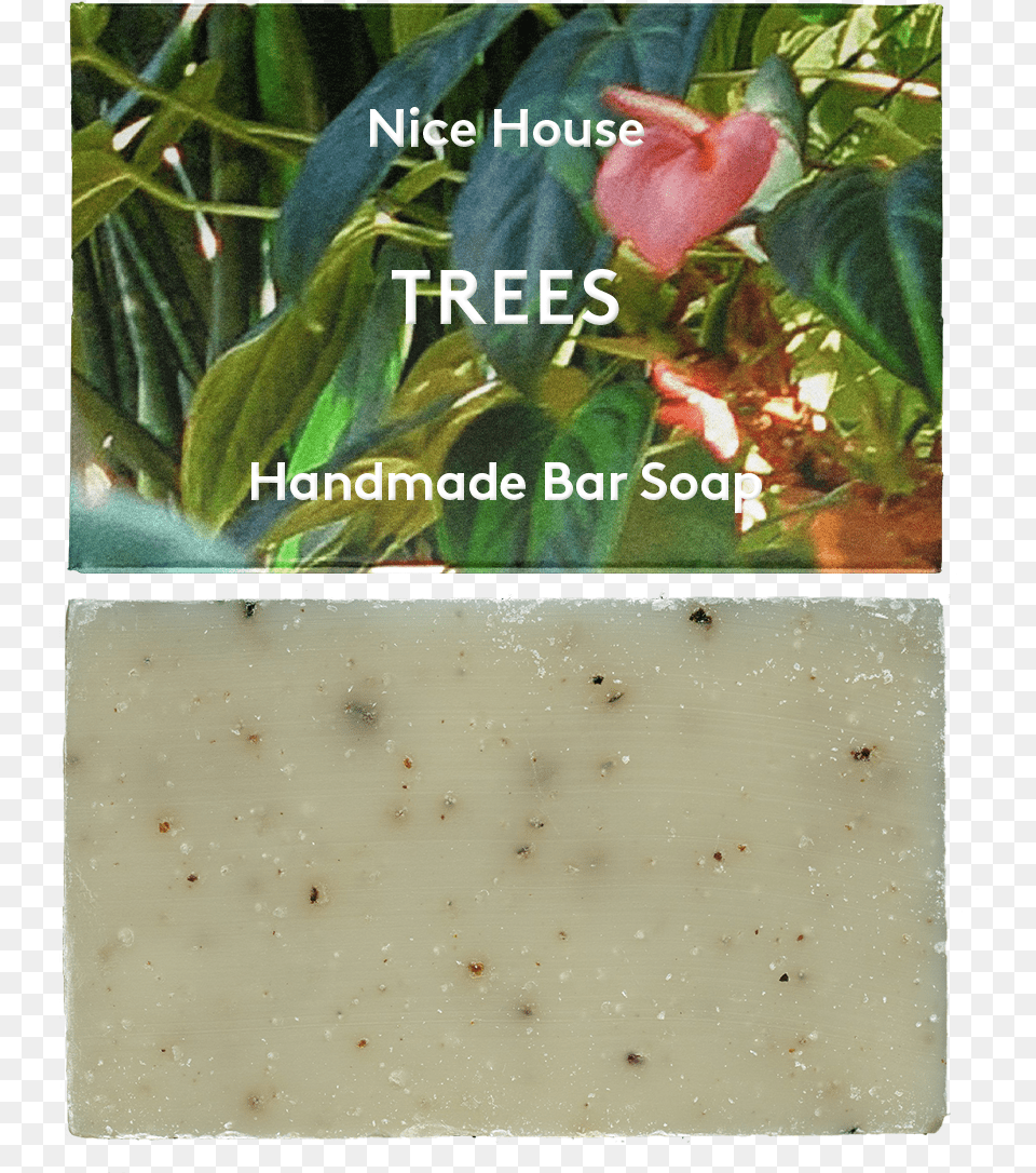 Trees Soap Hardy Kiwi, Flower, Petal, Plant, Bud Free Png Download