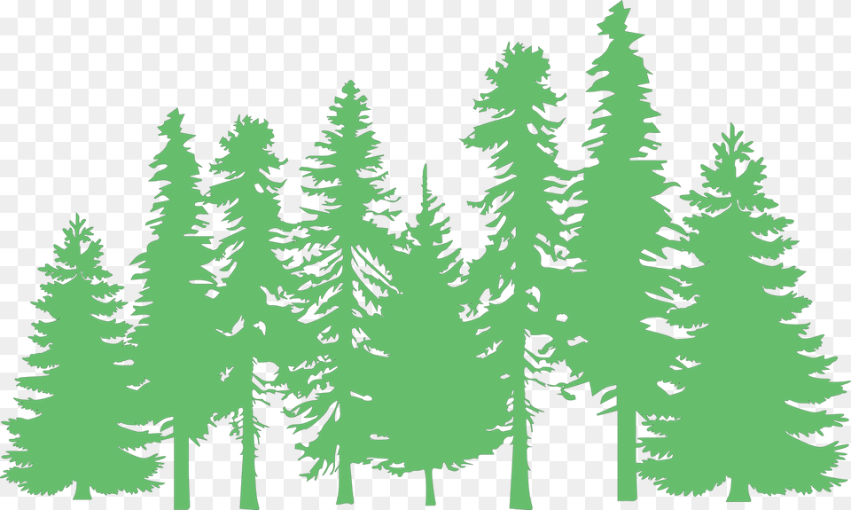 Trees Svg Cut File Pine Tree Silhouette, Conifer, Fir, Plant, Vegetation Free Png Download