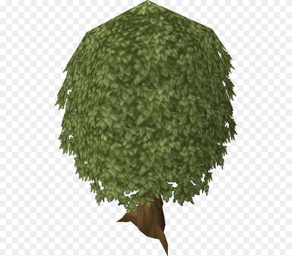 Trees Top View Runescape Tree, Vegetation, Grass, Sphere, Plant Free Png Download