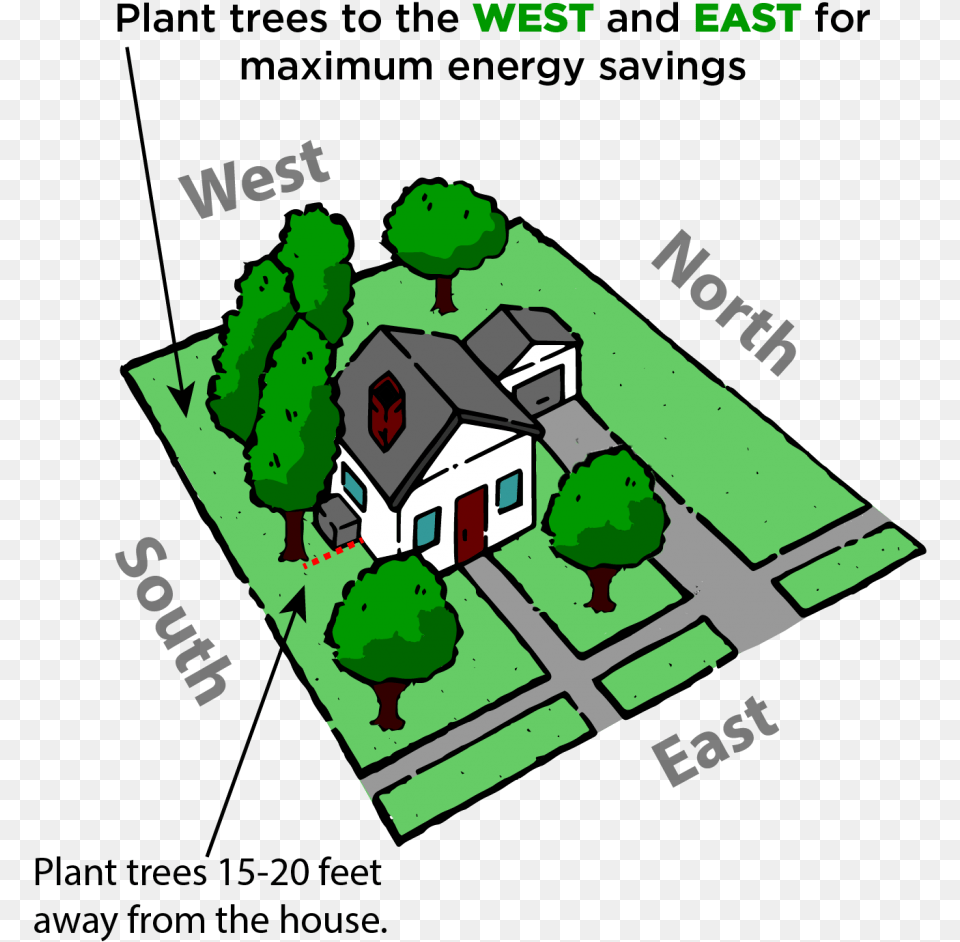 Trees Top View Where Should I Plant Itu0027s Best To Plant Diagram, Neighborhood, Grass, Baby, Person Free Transparent Png